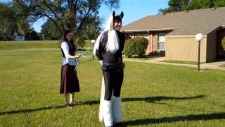 Pony Play practice session