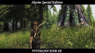 Skyrim SE - Vividian ENB SE
