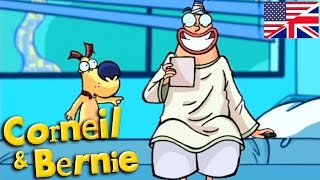 Watch my chops | Corneil & Bernie - Dogs are dumb S01E28 HD