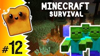 Minecraft Po Polsku: Survival - Atak Szkieletów! #12