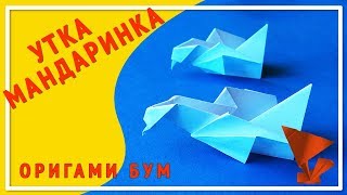 Как сделать утку мандаринку из бумаги ,утка оригами.