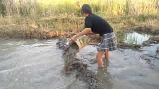 Amazing beautiful girl Fishing in the field - How to Catch Fish at battambang ( part 32)