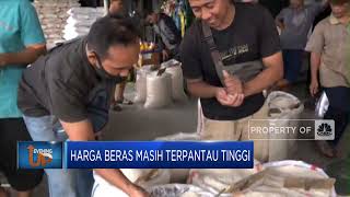 Harga Beras Masih Terpantau Tinggi