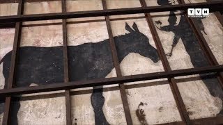 L'uomo che rubò Banksy - Marco Proserpio: street art fra speculazione e scontro culturale