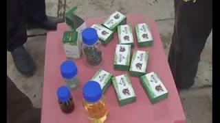 Potensi dan Pemanfaatan Mikroalga UGM