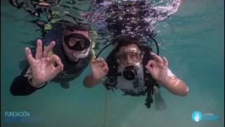 IV Premios al Voluntariado Universitario:"Buceo Adaptado"