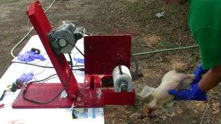 Markham Chicken Plucker Plucking
