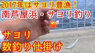 サヨリ釣り・南芦屋浜！2017年、今年は豊漁！反転ウキ仕掛けで数釣りを狙うサヨリ釣り！