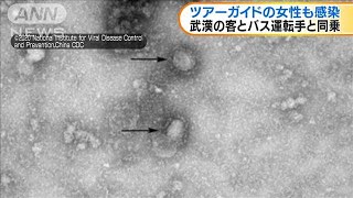 新型コロナウイルス　ツアーガイドの40代女性も感染(20/01/30)