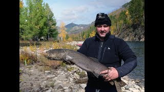 ОХОТА НА ТАЙМЕНЕЙ/Рыбалка на тайменя в Монголии/Часть 1