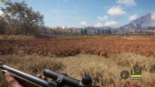 The Hunter Call of The Wild (1080p) I7 7700k GTX 1080 TI FE