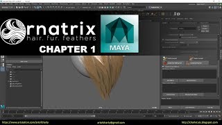 Why I've switched to Ornatrix for Maya. Demonstration of Viewport 2.0 and HairPhysicalShader