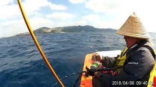 [沖縄ジギング]カンパチ[Okinawa Jigging]