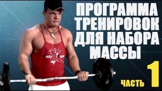 Программа тренировок в тренажерном зале