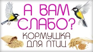 #КОРМУШКА ДЛЯ ПТИЦ своими руками из фанеры.КАК СДЕЛАТЬ кормушку из фанеры?
