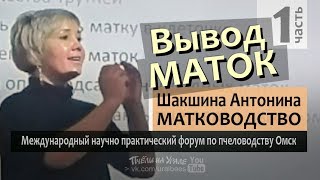 Матководство ч1 Вывод маток Смена матки Антонина Шакшина матковод эксперт ИО Форум по пчеловодству