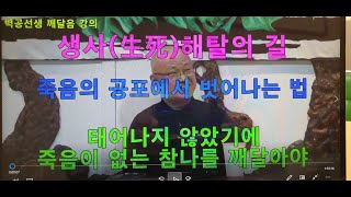 [진여문] 벽공 선생 강의 [생사해탈의 길] 죽음의 공포로부터 벗어나는 법
