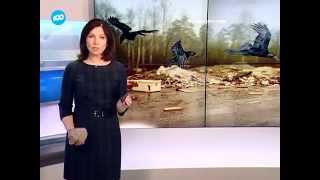 Перспективные технологии утилизации отходов (телеканал 100ТВ)