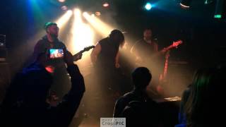 Socionic LIVE!