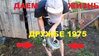 бензопила ДРУЖБА 1975 - реанимация