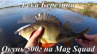 Река Березина. Окунь 500г на Jackall Mag Squad 115SP, Щука 1400г на Flash minnow 110SP