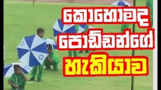 කොහොමද චුට්ටන්ගේ වැඩ