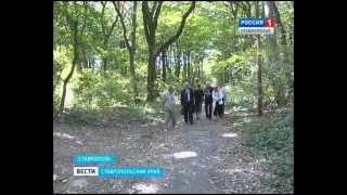 Мэрия Ставрополя бьется за Таманский лес