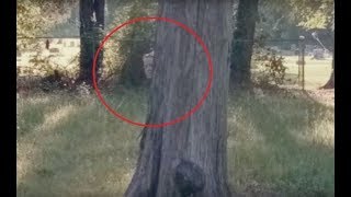 6 СТРАШНЫХ И РЕАЛЬНЫХ  ПРИЗРАКОВ СНЯТЫХ НА КАМЕРУ