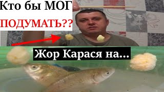 Жор КАРАСЯ.Я и представить не мог что Карась это любит.Косит всю рыбу.Насадка. Прикомка для рыбалки.