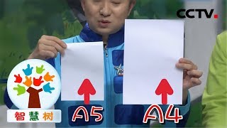 《智慧树》 20200212| CCTV少儿