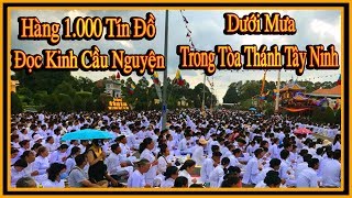Hàng 1000 tín đồ đọc kinh cầu nguyện dưới mưa trong Tòa Thánh Tây Ninh
