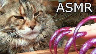 ASMR for Sleep tingles nail tapping & FUNNY CAT