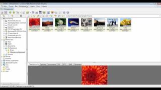 Пакетная обработка фотографий в IrfanView и XnView