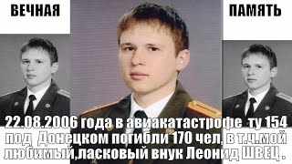 Авиакатастрофа ту 154 под Донецком,22.08.2006 года,Plane crash near Donetsk,Леонид Швец,Катастрофа,