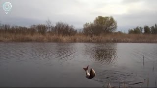 На реках Новосибирской области вводят запрет на рыбалку. Это связано с весенним нерестом