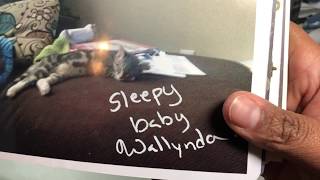 Kay’s December Daily collab December 31, 2017