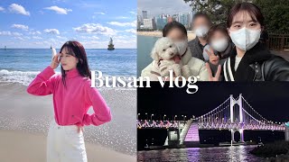[VLOG] 가족과 떠난 1박2일 부산 여행 브이로그 해운대, 광안리 인생 맛집 추천 (feat.애견 동반 여행)