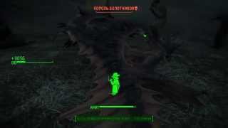 Где найти пупсов (удача) Fallout 4 Остров Спектакл Айленд