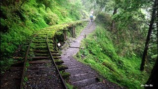 2018-宜蘭太平山森林遊樂區-見晴懷古步道
