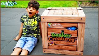 Primary Science Experiment for Kids from Beaker Creatures
