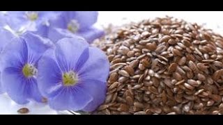 अलसी के लाभ / Health Benefits of Flax Seeds in Hindi - How to eat Flax seeds