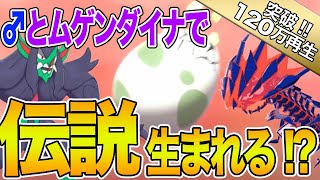【ポケモン剣盾】色違いの伝説のポケモンがムゲンダイナと♂ポケモンで生まれる裏技！？【ワザップ検証】