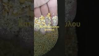 Σφυρομυλος ζωοτροφών!!...Grinding mill ... Με μοτέρ πλυντηρίου