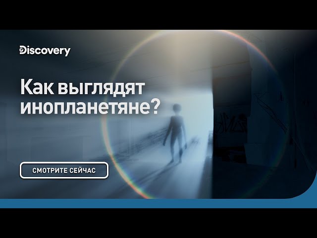 Есть ли жизнь после смерти сквозь кротовую нору с морганом фрименом discovery